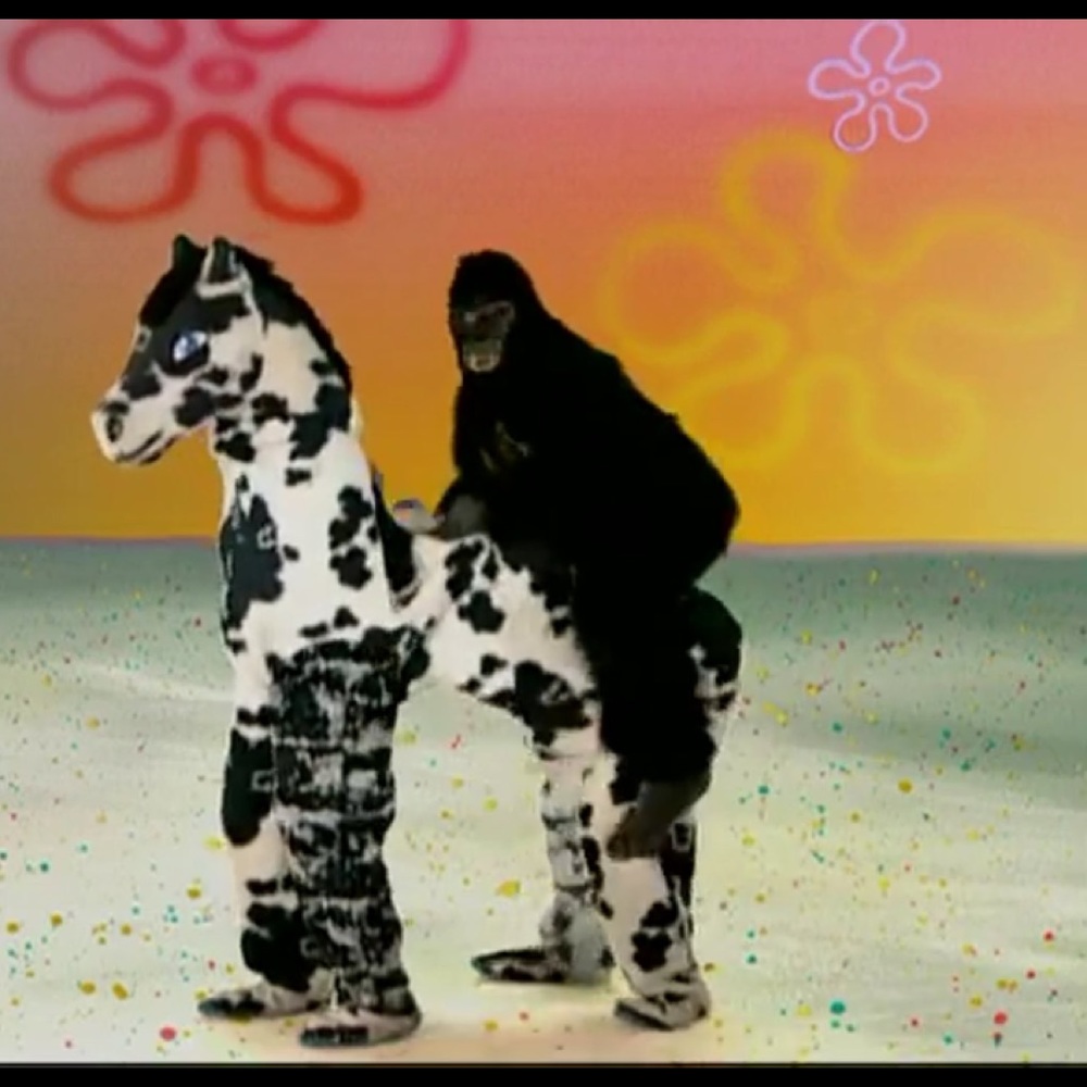 Meet your Posher, Lily